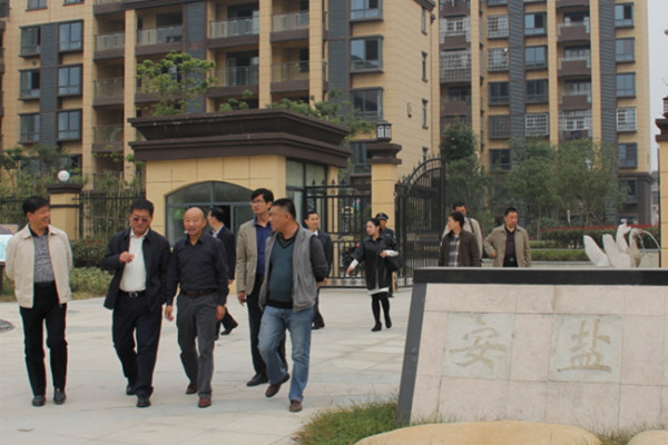 王書記一行參觀安鹽曲陽國際小區